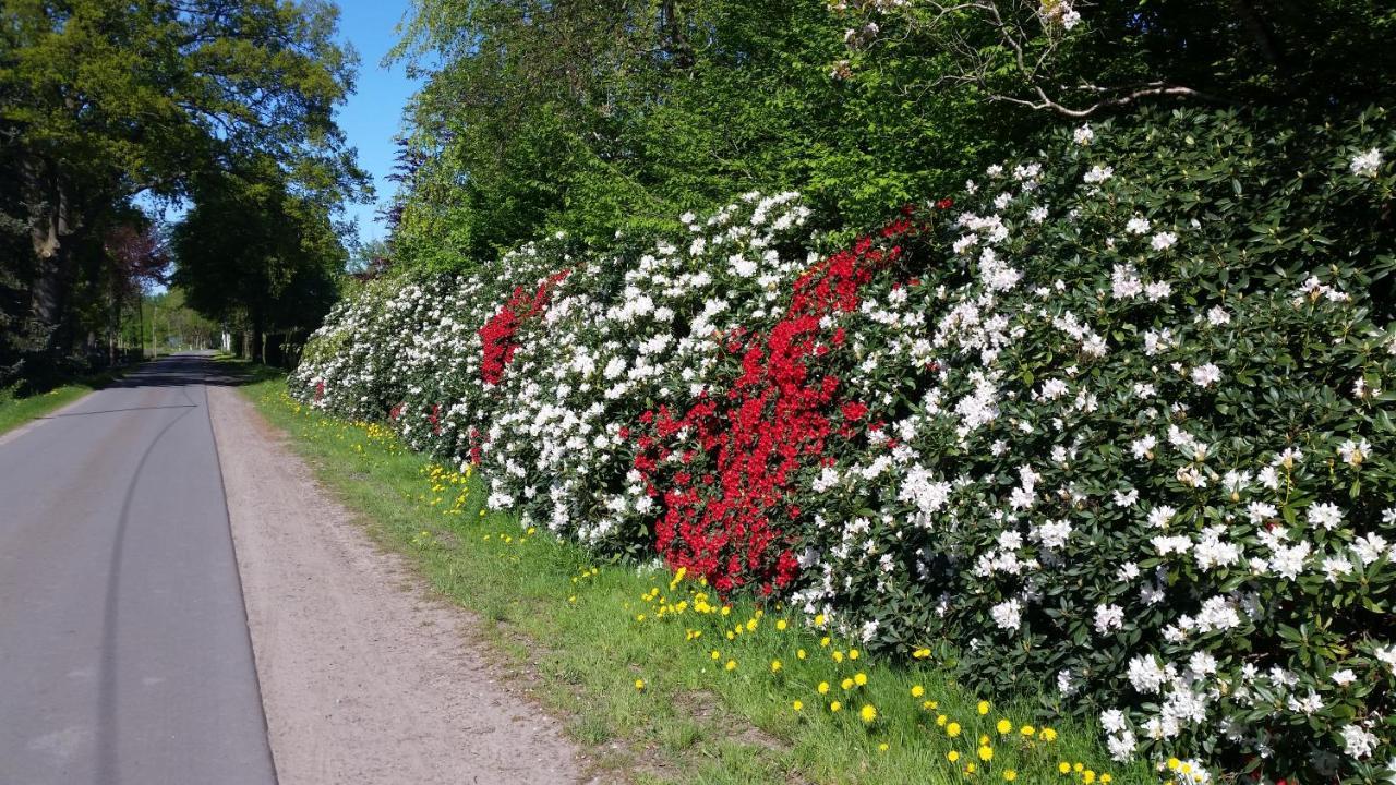 Ferienwohnung Gartenblick Westerstede Exterior foto