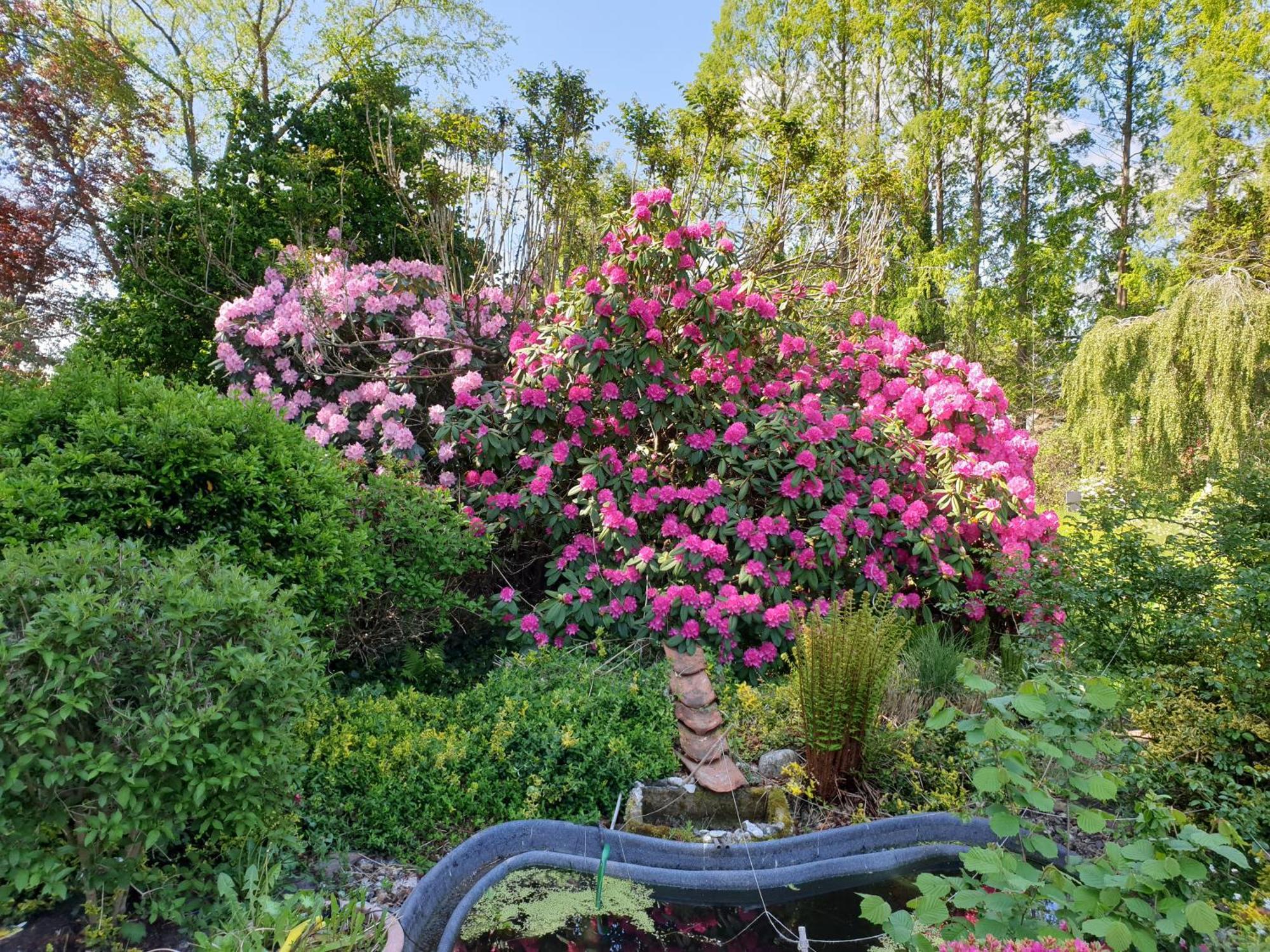 Ferienwohnung Gartenblick Westerstede Exterior foto