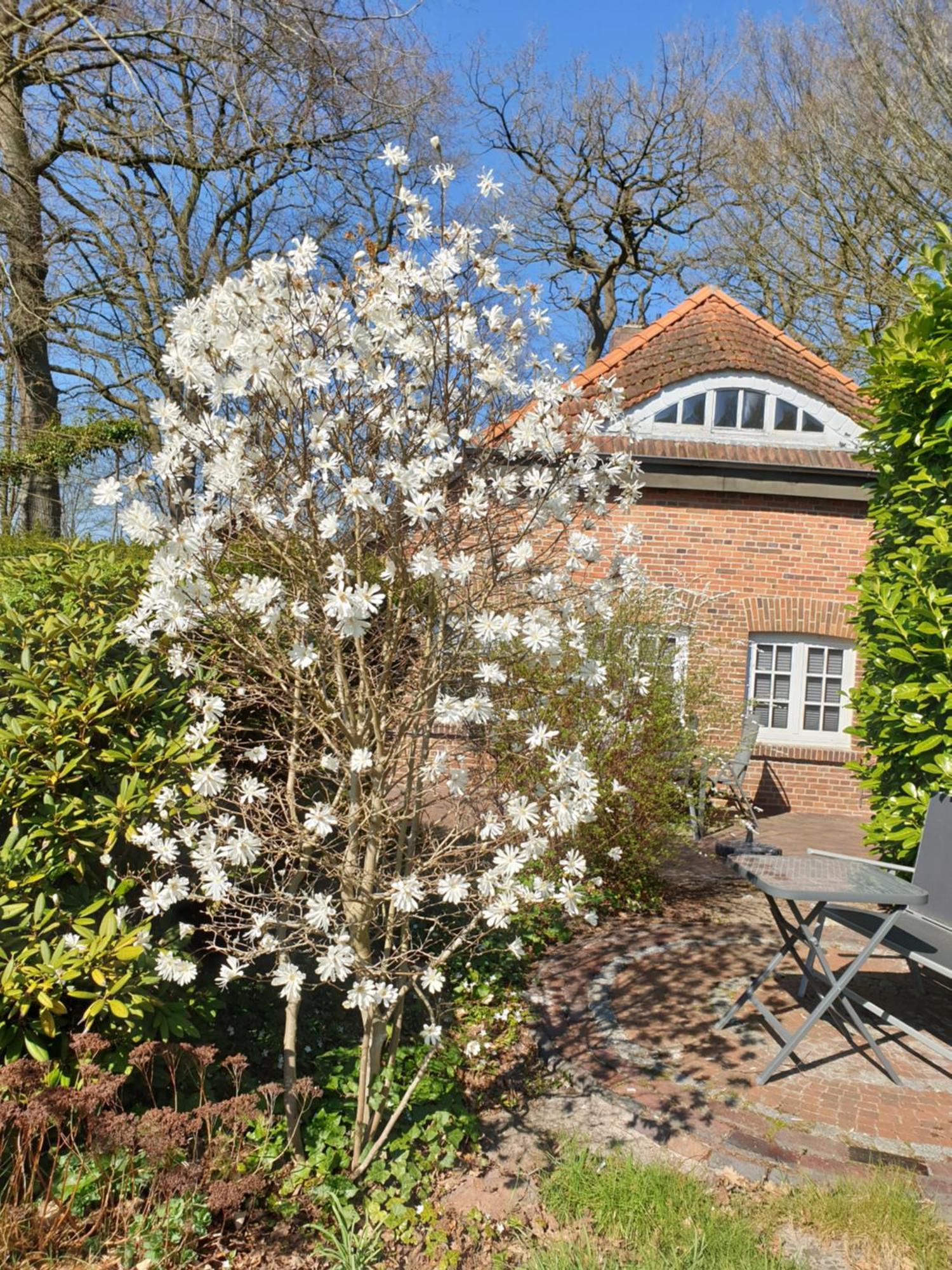 Ferienwohnung Gartenblick Westerstede Exterior foto